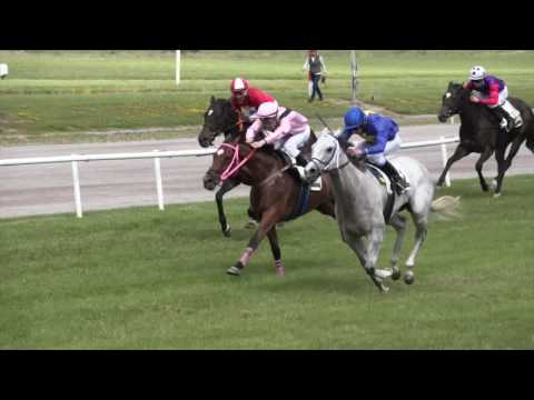 Marc Stott Racing Jyllandsløb 2016