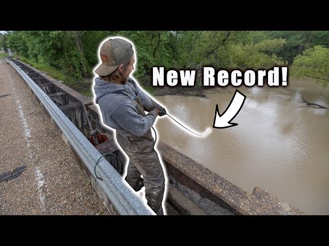We Set A Magnet Fishing RECORD - Best Day Of Magnet Fishing EVER
