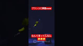 ブランコに興奮www #shorts