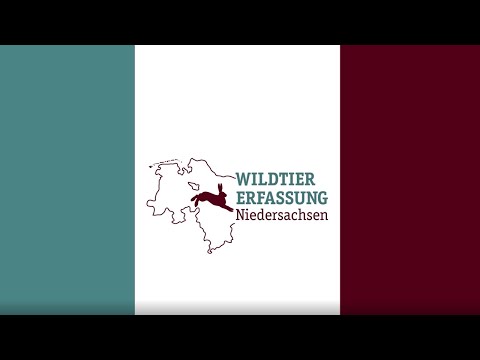 30 Jahre WTE Institutionen