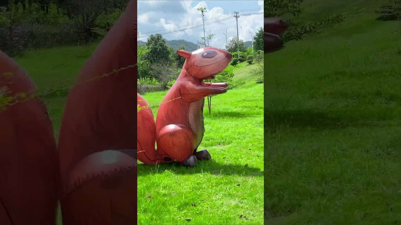 Video Placeholder