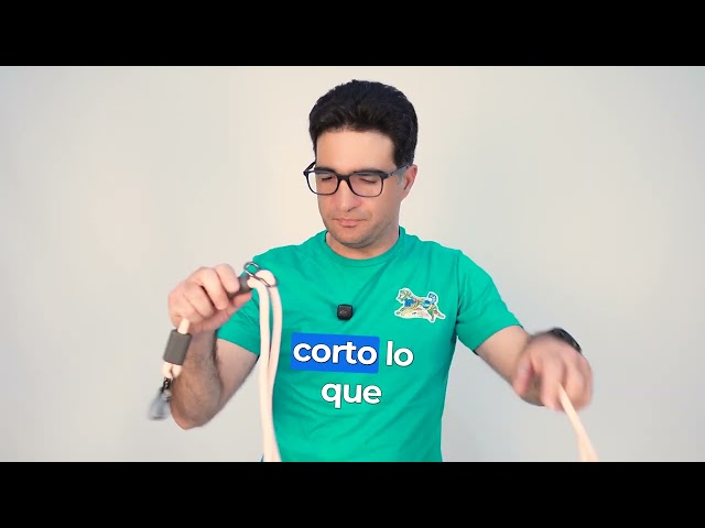 Vídeo relacionado con Roses&Poetry Correa para perros manos libres con bolsa con cremallera, correa elástica de cintura de 1,8 a 2,7 m para perros medianos y grandes que caminan, correa para correr con asas acolchadas dobl