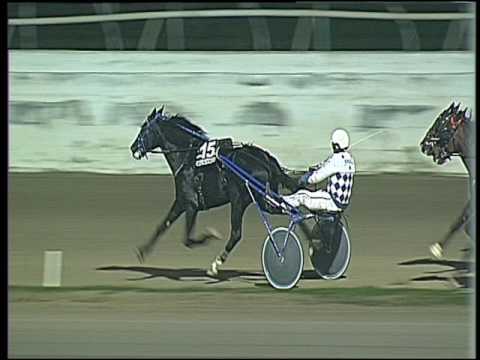 Trotto 20/11/2016 - 7ª corsa