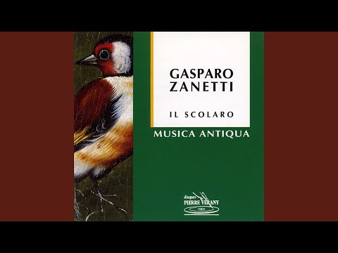 Suite 1 : Passo e mezzo su la chiave in basso Il saltarello del passo, e, mezzo Represa per la...