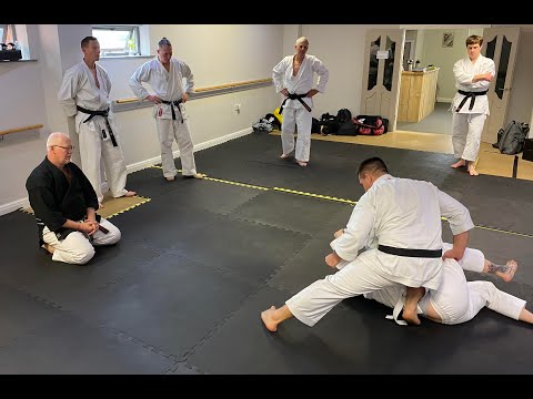 Karate Jutsu Seminar Clip - Summary of key concepts