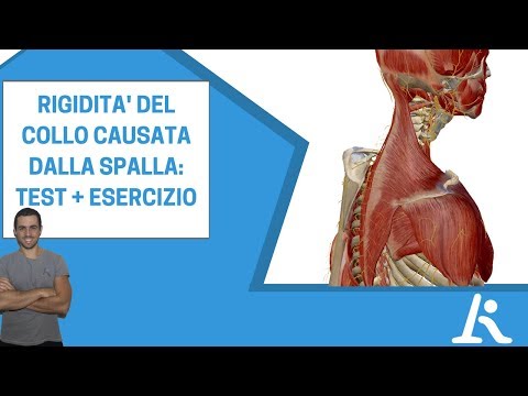 Dove acquistare endoprotesi per unarticolazione dellanca Spondiloartroz il trattamento lombare rimedi popolari