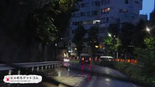 青山霊園 心霊スポット 車から撮影