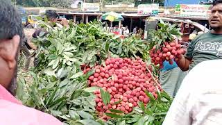 ভিডিও থাম্বনেইল