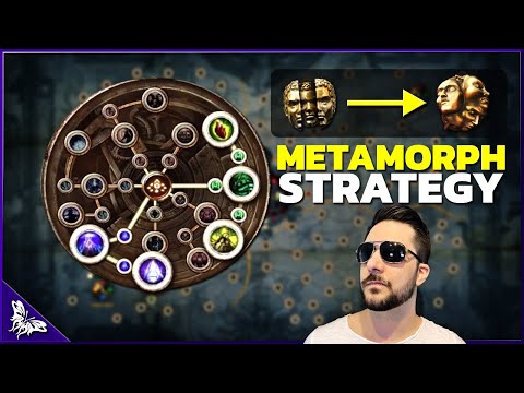 Super Cheap Money Making Strategy in 3.16 | Path of Exile Scourge