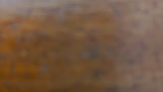 Download lagu LAGU TULUS BEST ALBUM VIRAL 2025 || MONOKROM MANUSIA KUAT  mp3