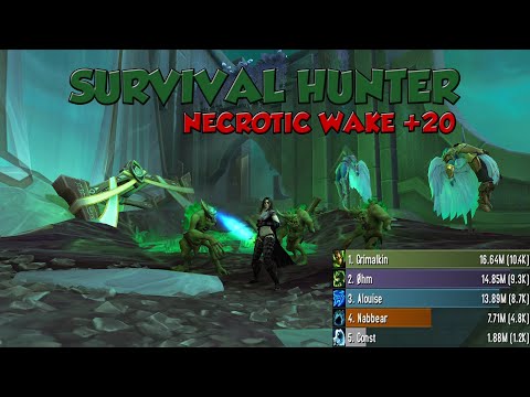 [9.1.0] Survival Hunter | Necrotic Wake +20