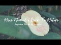 NEW NORMAL AND BACK TO NATURE | Normal yang Baru dan Kembali ke Alam I Sepintas Pikiran Eps.01 NEW NORMAL AND BACK TO NATURE | Normal yang Baru dan Kembali ke Alam I Sepintas Pikiran Eps.01