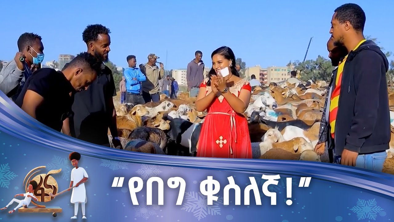 አስተያየቱን አሳርፈው