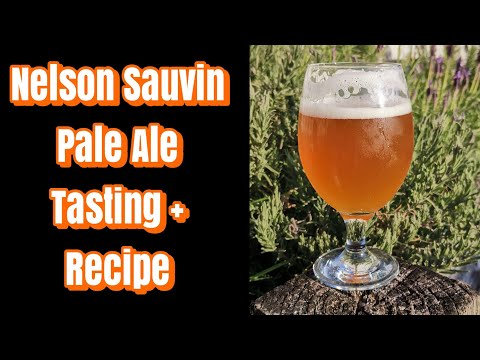 Nelson Sauvin Pale Ale - Tasting + Recipe