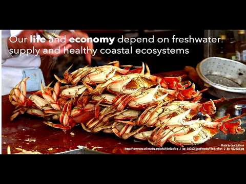 Innovating Measurements Across the Land-to-Sea Continuum: Erin Hestir