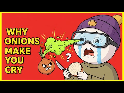 Why do Onions Makes You Cry?