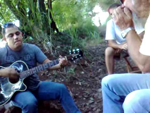 Saci - Joao Lopes 01