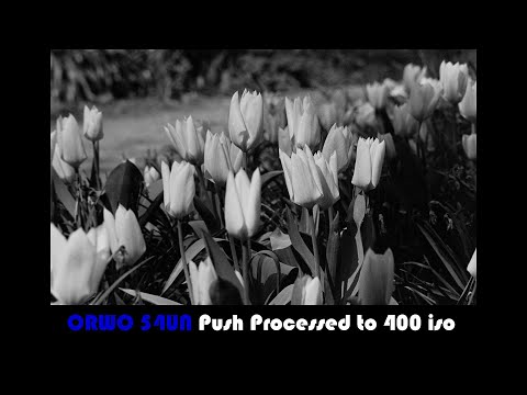 ORWO UN54 Push processed in 510Pyro and Red filter