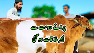 PURANE DOST SE PHIR MULAQAT HO GAI 😍 Cattle Market Karachi