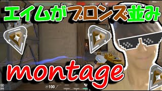 【爽快!!】エイムがブロンズでもmontage作りたいんです！【VALORANT動画】