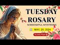 ROSARY TUESDAY: SORROWFUL MYSTERIES 🟡 MAY 28 2024🌹ROSARY PRAYER AND ENCOUNTER WITH CHRIST