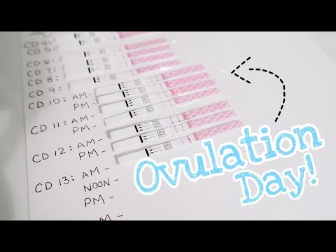 Ovulation Day || TTC Baby #3 [2020]