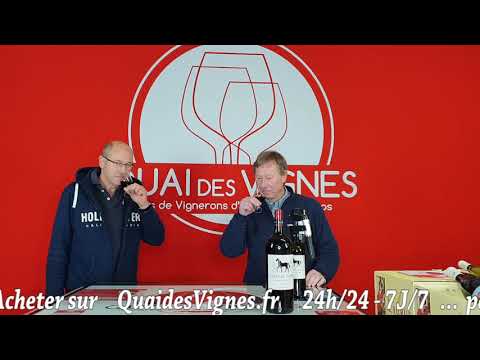 Cheval Noir - St Emilion - Rouge - Bordeaux - Mahler Besse