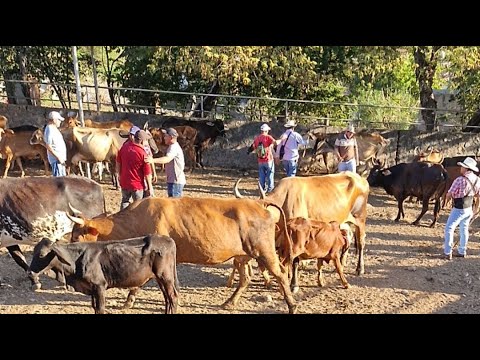 sábado 13 de diciembre 2025, tiangue de Santa Rosa de Lima, La Unión, El Salvador 🇸🇻