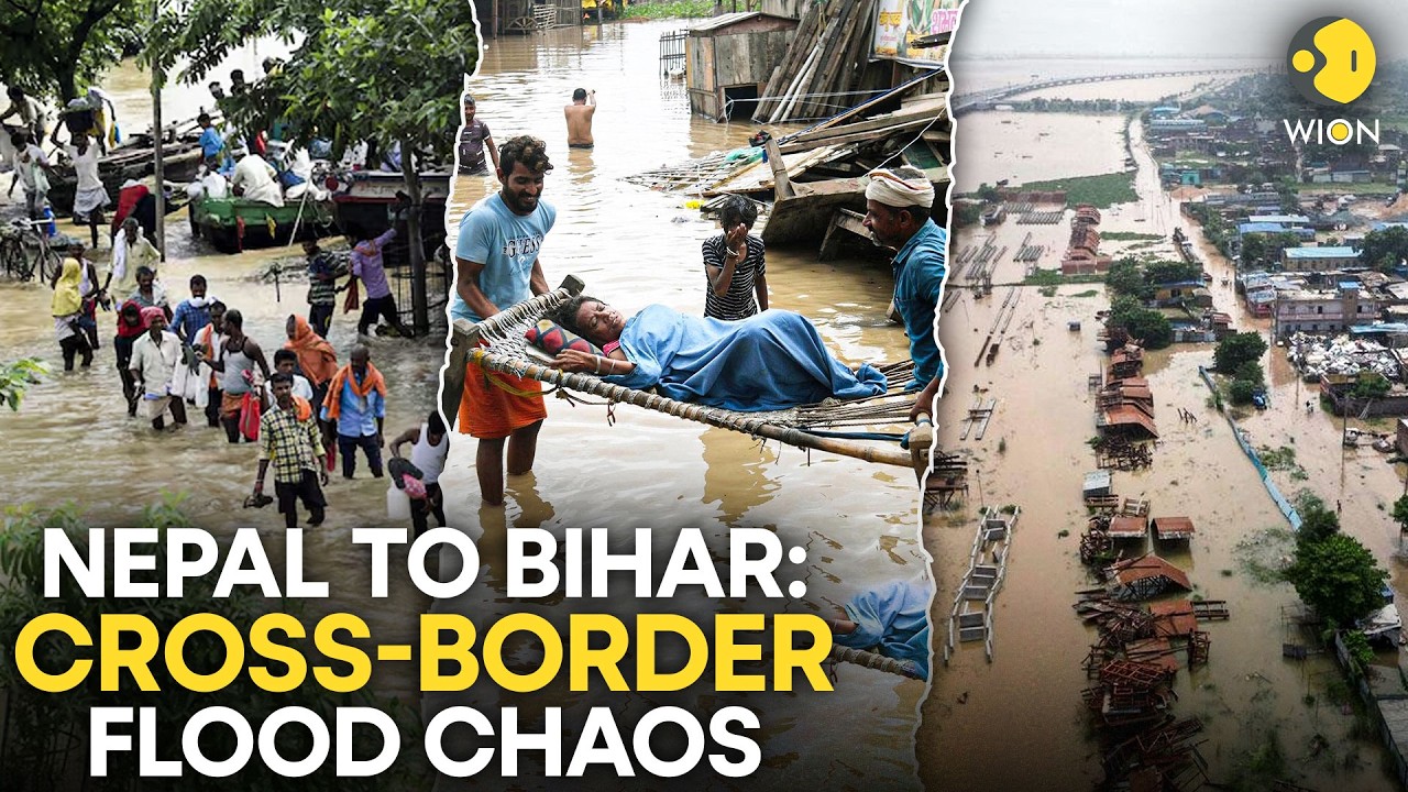 Bihar Floods LIVE: Over 30 Lakh People Affected Across 14 Districts, Bihar on High Alert | WION