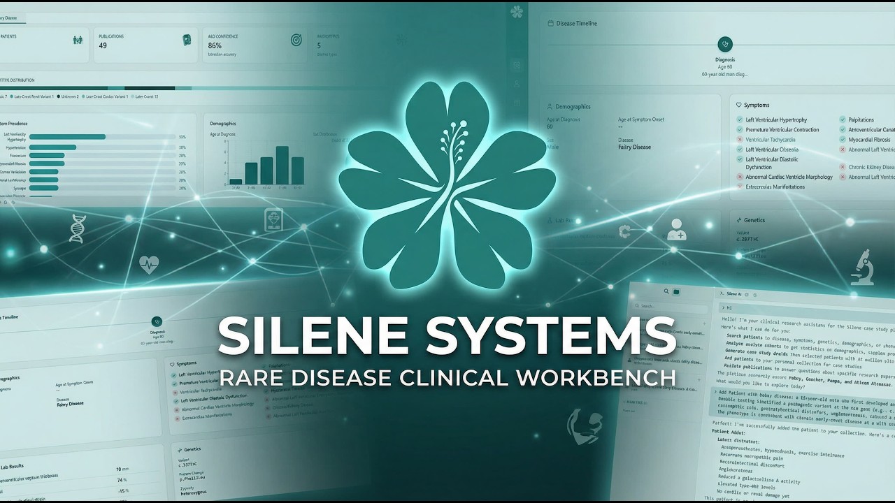 Silene Systems project preview