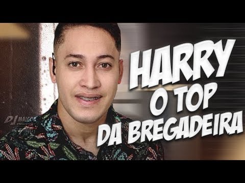 HARRY O TOP DA BREGADEIRA- TOP PRA PAREDÃO - SÓ BREGADEIRA TOP 2020