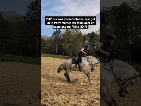 Lacoleen_ - Klassischer Vorführeffekt🥸 #pony #pferd #reiten #pferdeliebe #pferde #pferdevideo #funny