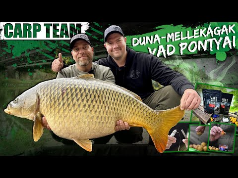 Rokolya Péter & Kovács Patrik - Duna-mellékágak vad pontyai