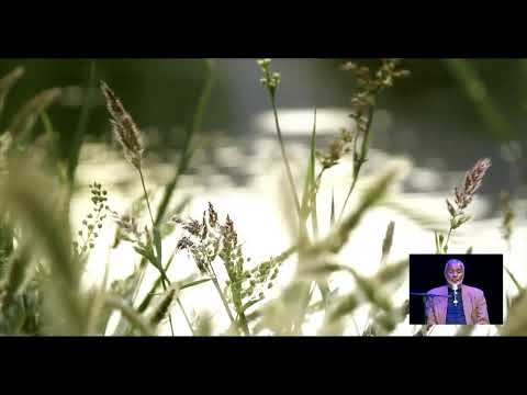 Agape's 8:30am Sunday Pre-Service Meditation, November 15, 2020