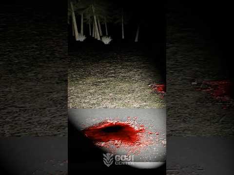 You entered T-Rex territory… and now you will die