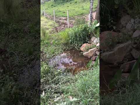 Sítio de 240.000 m2 à Venda em Bueno Brandão - Minas Gerais.