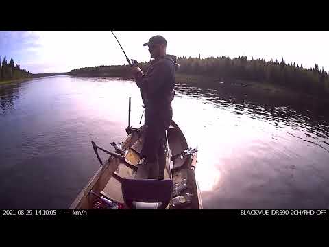 Muonionjoki pakamukka 29.08.2021 kojamo 8,6kg