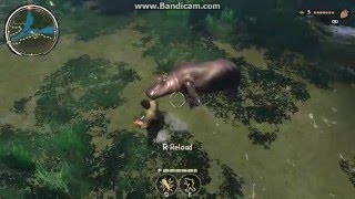 cabelas african adventure hippo hunt