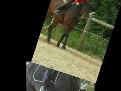 galop 123
