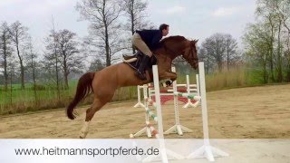 Video von Cingscross