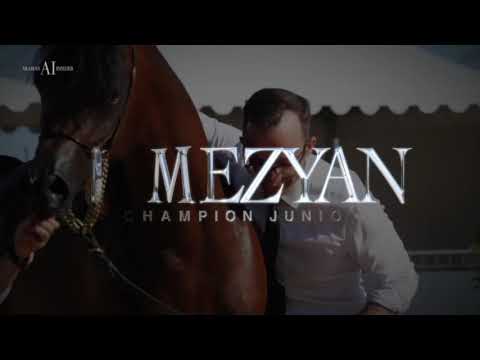 العالمي دي مزيان  ابن الفحل المنتج اف اي الرشيم  D Mezyan By Fa El Rasheem