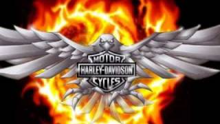 Harley Davidson TNT Donna Diesel