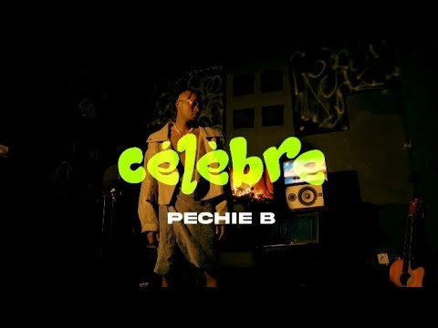 Pechie B - Célèbre (Video Visualizer) 