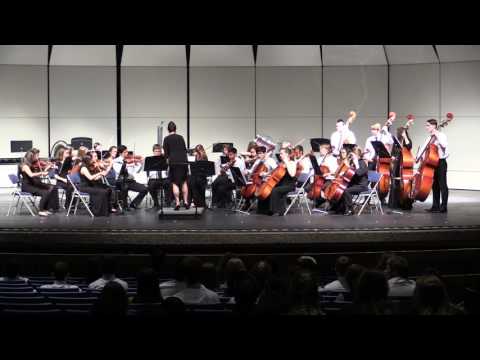 2017 String Orchestra at the Phoenix Area Music Festival
