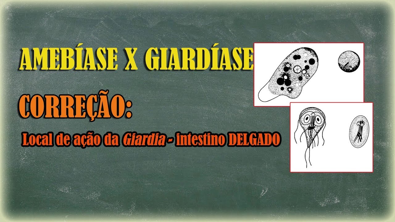 Amebíase e Giardíase: correção do local de ação da Giardia