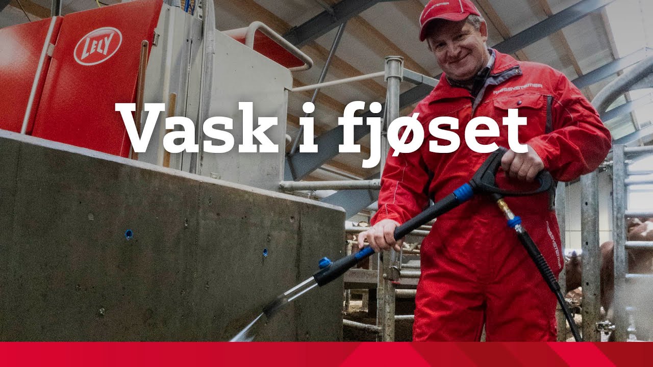 Vask i fjøset