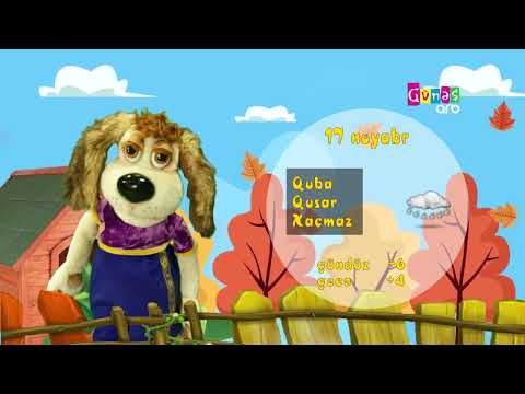 "Hava necə olacaq?" - 17 noyabr 2024-cü il