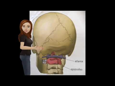 Lartroscopia a malattia articolare Borsite del video spalla