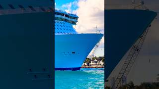 Allure of the Seas 🛳️ #travel #fun #subscribe #comment #cruise #vacation #shortvideo #shortsvideo