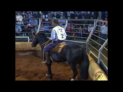 Chapecó – 1° lugar fêmeas – BT Basteira